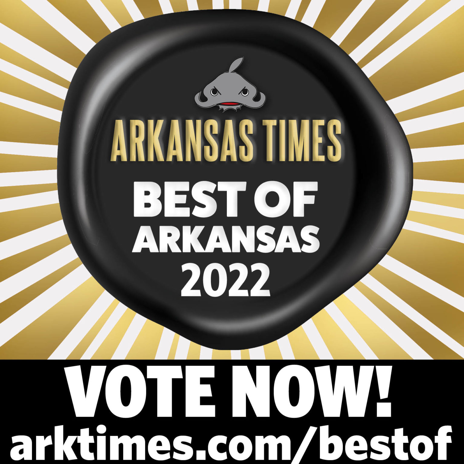 King Biscuit Blues Festival Helena, Arkansas